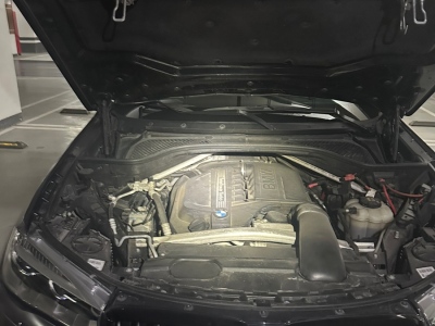 2018年8月 宝马 宝马X5(进口) xDrive35i M运动型图片