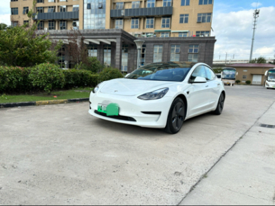 2021年01月 特斯拉 Model 3 標(biāo)準(zhǔn)續(xù)航后驅(qū)升級版圖片