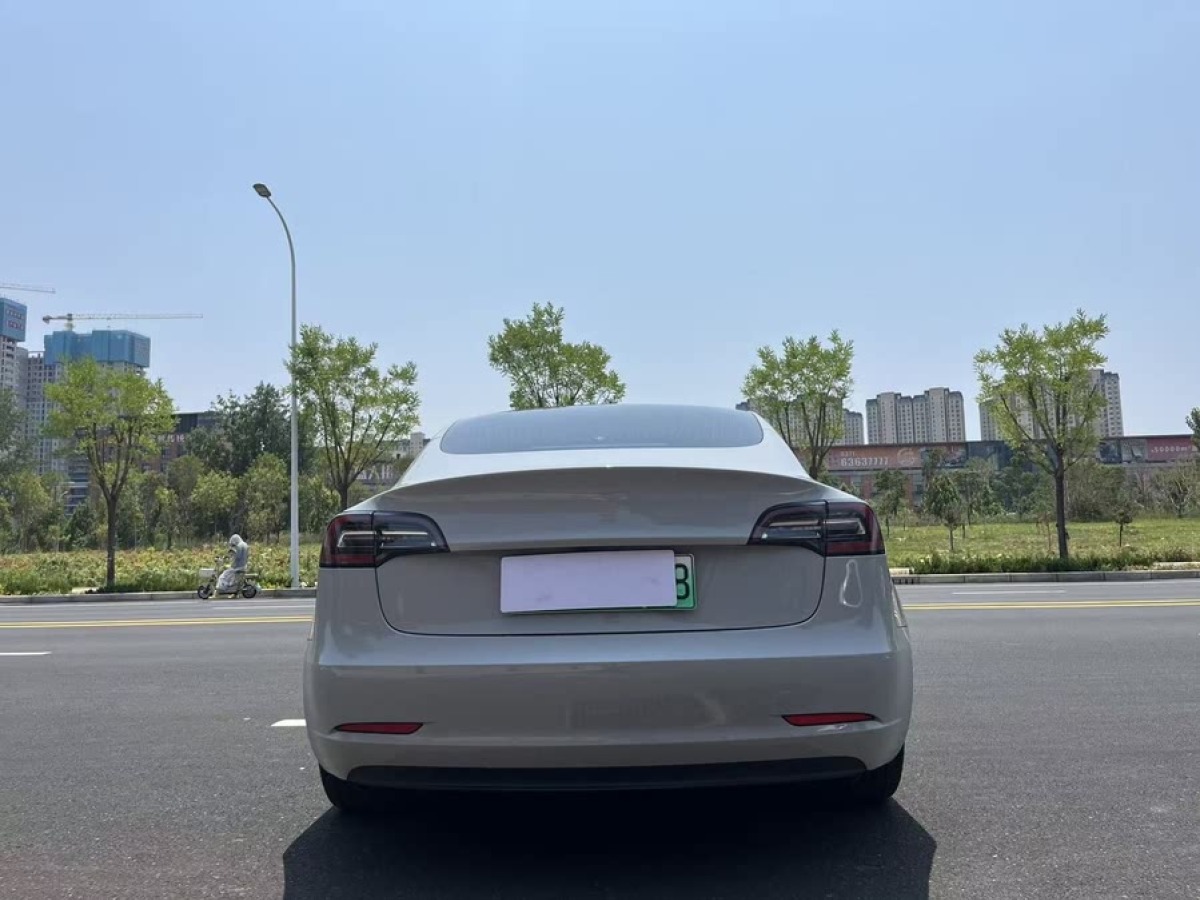 特斯拉 Model 3  2020款 改款 標準續(xù)航后驅(qū)升級版圖片