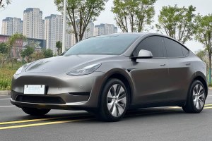 Model Y 特斯拉 改款 后輪驅(qū)動(dòng)版