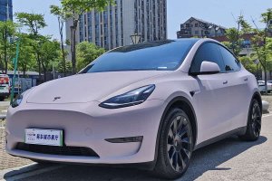 Model Y 特斯拉 標(biāo)準(zhǔn)續(xù)航后驅(qū)版