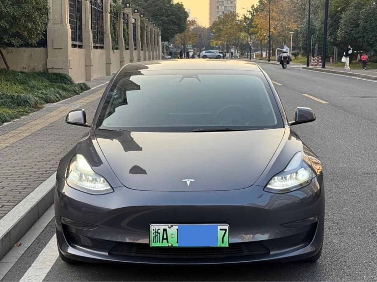 特斯拉 Model 3  2021款 改款 Performance高性能全輪驅(qū)動版圖片