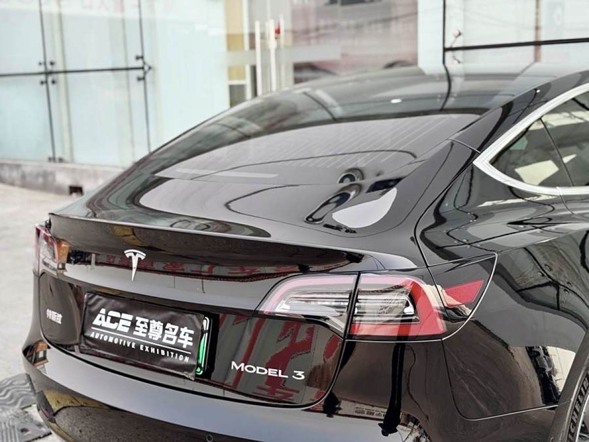 2021年1月特斯拉 Model 3  2020款 改款 標(biāo)準(zhǔn)續(xù)航后驅(qū)升級(jí)版