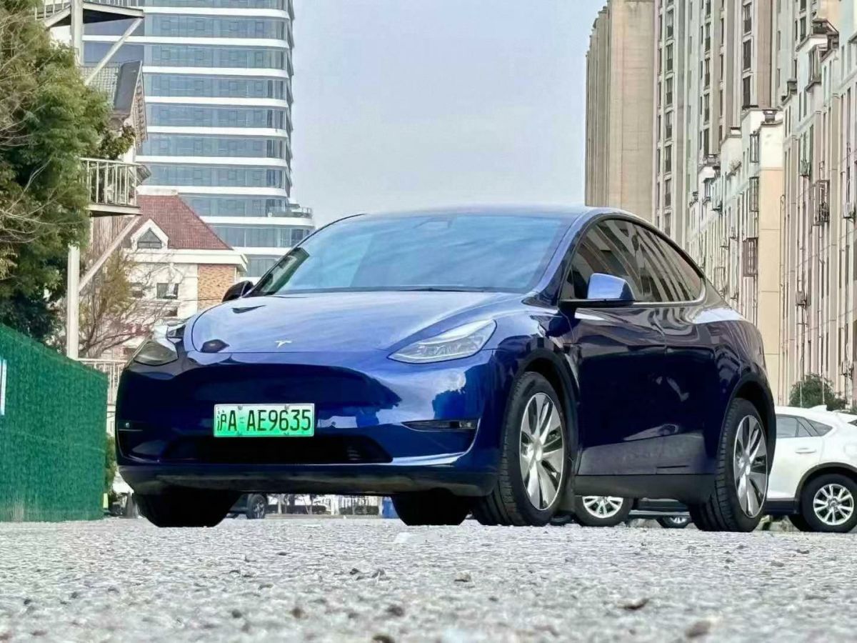 特斯拉 Model 3  2022款 Performance高性能全輪驅(qū)動版圖片