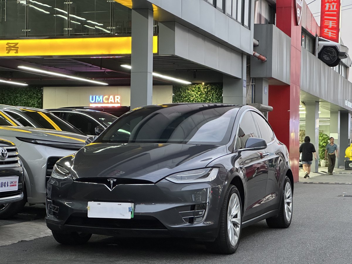 特斯拉 Model X  2020款 長(zhǎng)續(xù)航升級(jí)版圖片