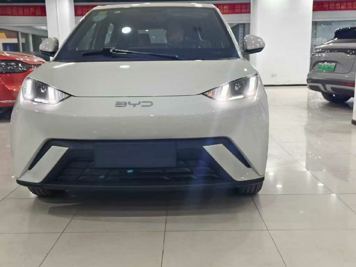 比亞迪 宋L DM-i  2024款 112km 超越型圖片