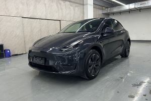 Model Y 特斯拉 改款 长续航后轮驱动版