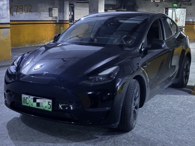 2021年1月 特斯拉 Model Y 图片