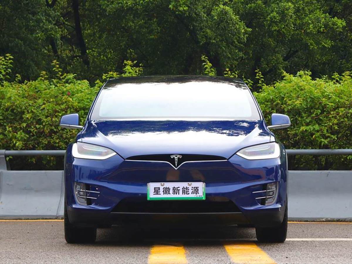 特斯拉 Model X  2019款 長續(xù)航版圖片