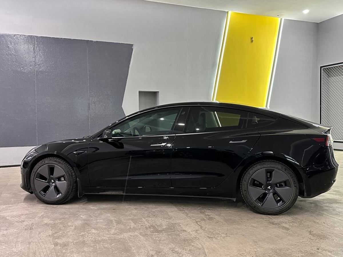 特斯拉 Model 3  2021款 改款 標(biāo)準(zhǔn)續(xù)航后驅(qū)升級(jí)版圖片