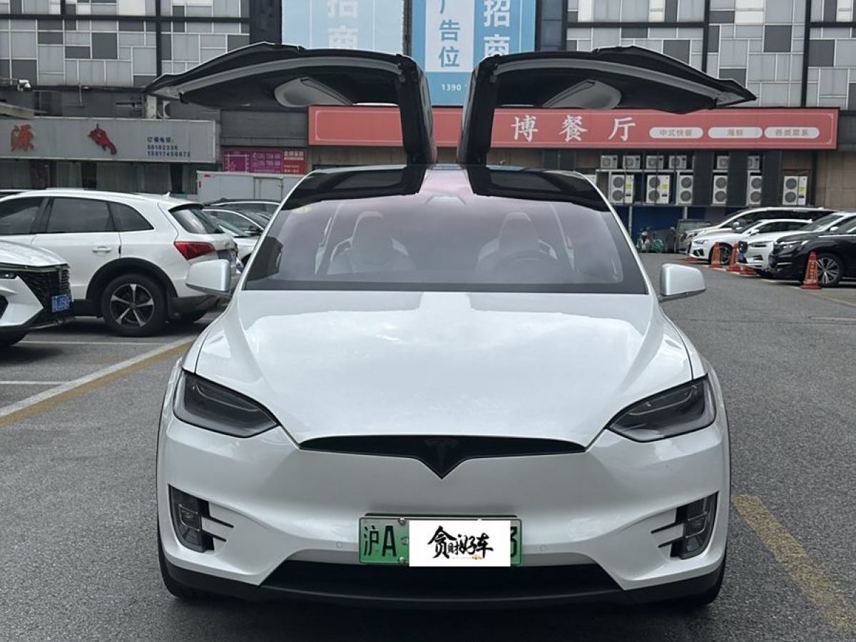 特斯拉 Model X  2017款 Model X 100D 長續(xù)航版圖片