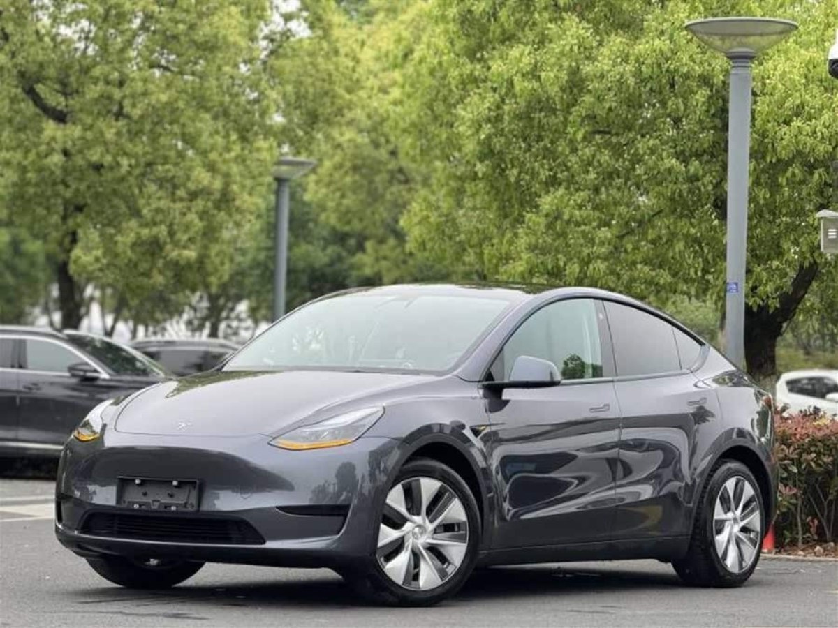 特斯拉 Model Y  2021款 長(zhǎng)續(xù)航全輪驅(qū)動(dòng)版 3D7圖片
