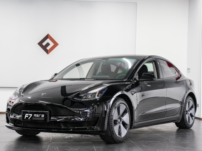 特斯拉 Model 3 Performance高性能全輪驅(qū)動版圖片