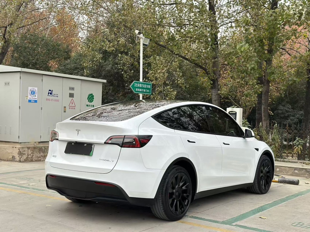 特斯拉 Model 3  2021款 改款 標準續(xù)航后驅升級版圖片