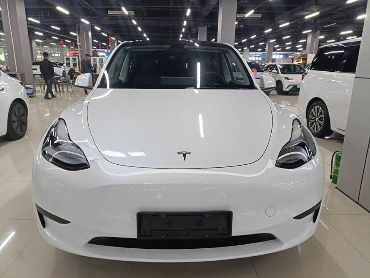 特斯拉 Model 3  2020款 改款 長(zhǎng)續(xù)航后輪驅(qū)動(dòng)版圖片