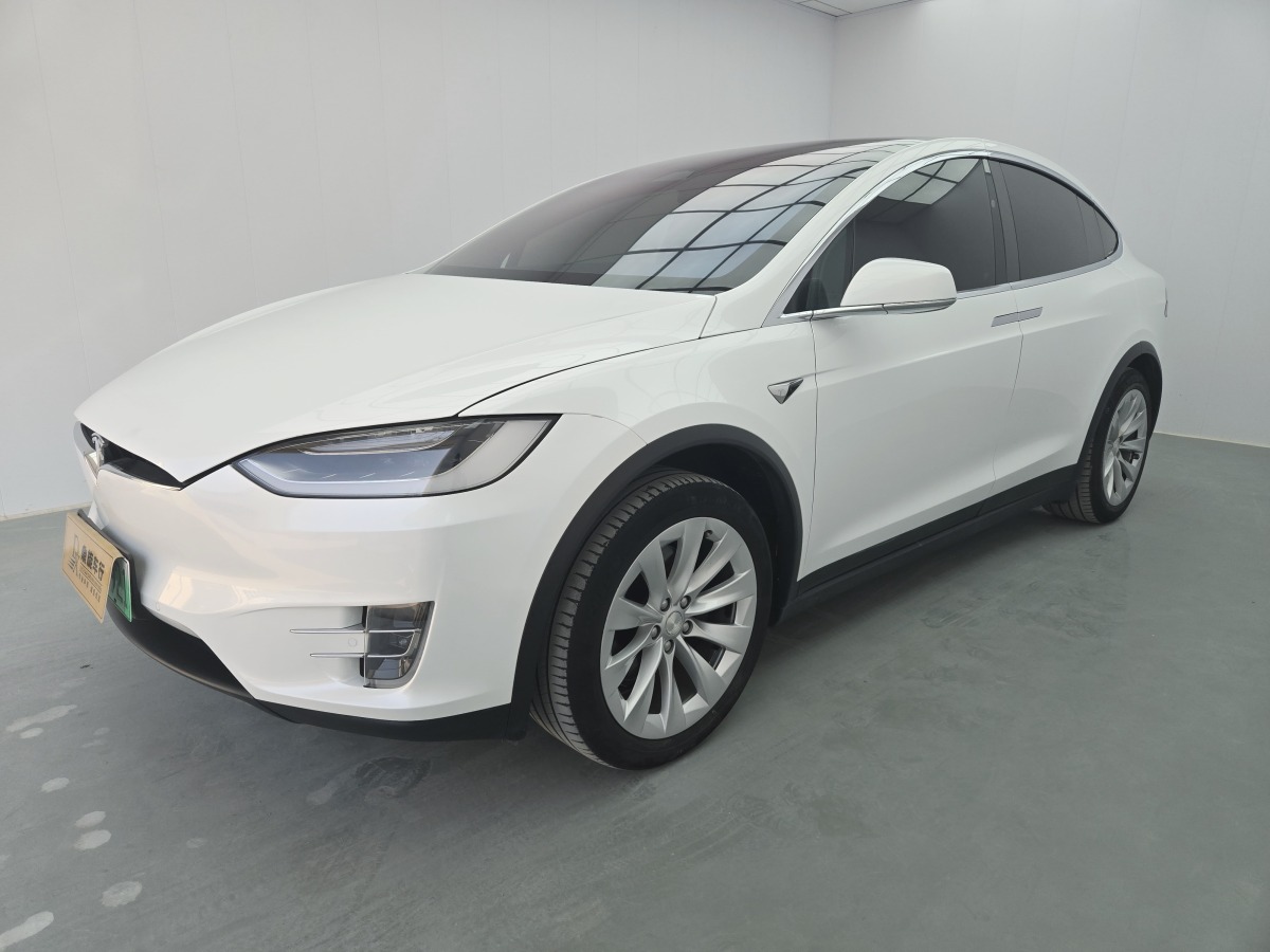 特斯拉 Model X  2016款 Model X 75D圖片