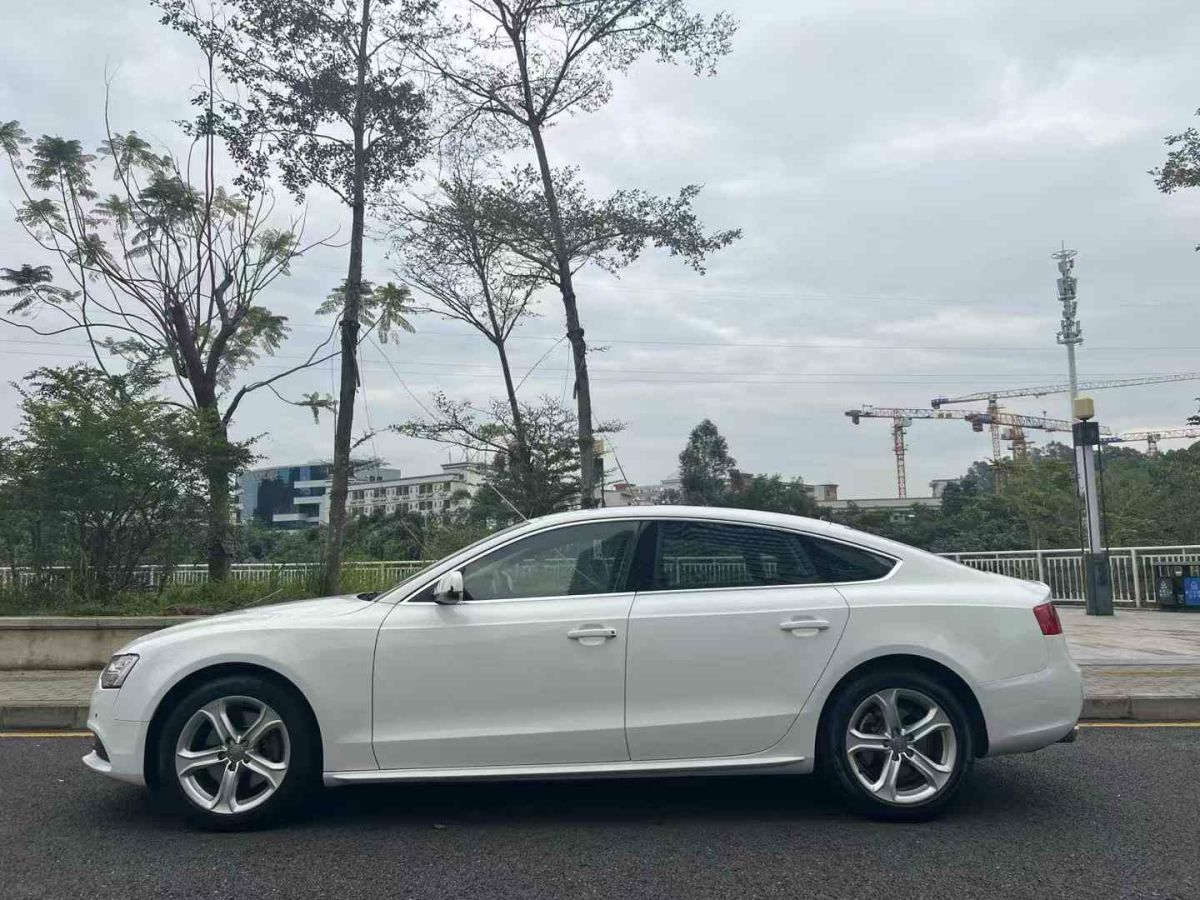 奧迪 奧迪Q5  2015款 40 TFSI 進(jìn)取型圖片