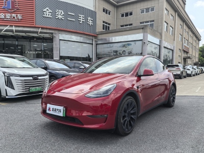 2021年3月 特斯拉 Model Y 长续航焕新版 双电机全轮驱动图片