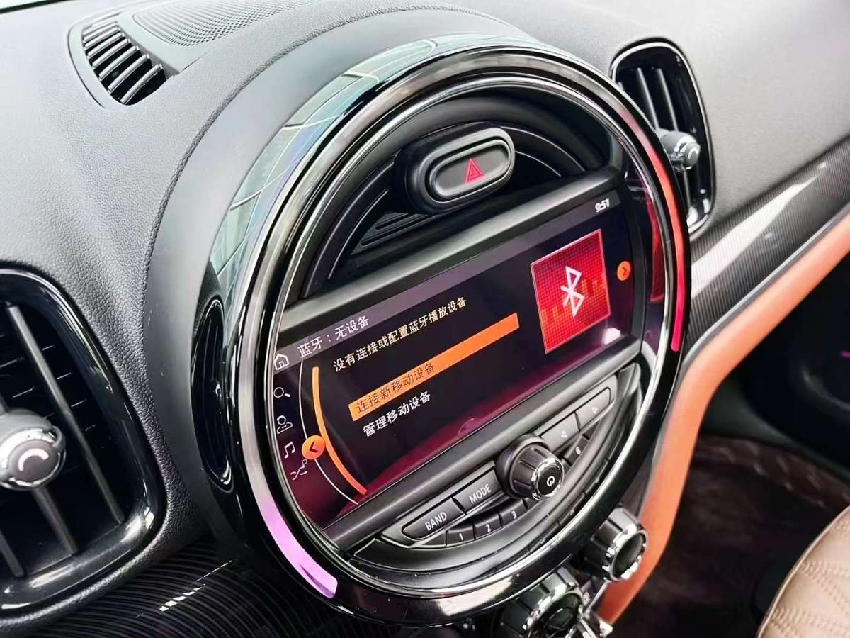 MINI COUNTRYMAN  2019款 2.0T COOPER S ALL4 藝術(shù)家圖片