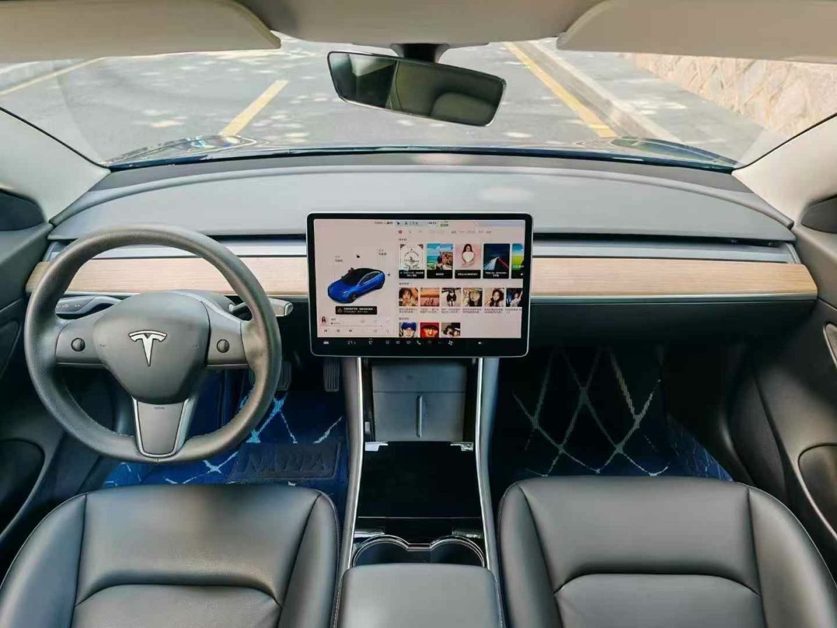 特斯拉 Model X  2020款 Performance 高性能版圖片
