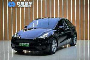 Model Y 特斯拉 改款 后輪驅(qū)動(dòng)版