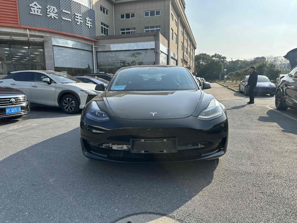 特斯拉 Model 3  2021款 標(biāo)準(zhǔn)續(xù)航后驅(qū)升級版 3D6圖片