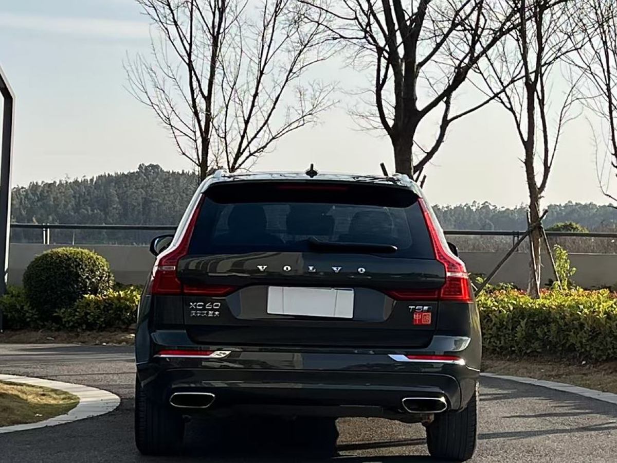 2020年1月沃爾沃 XC60  2020款 T5 四驅(qū)智逸豪華版