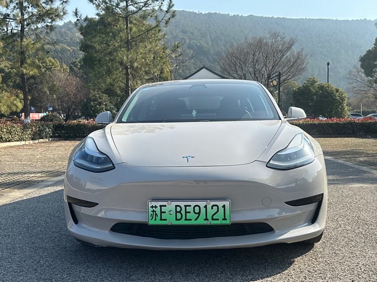 特斯拉 Model 3  2019款 標準續(xù)航后驅升級版圖片