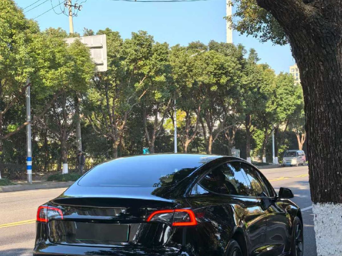 特斯拉 Model S  2023款 三電機(jī)全輪驅(qū)動(dòng) Plaid版圖片