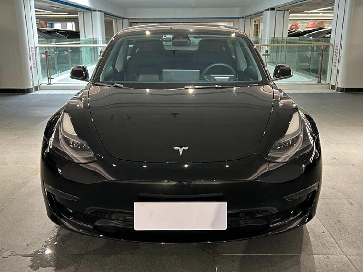 特斯拉 Model Y  2022款 Performance高性能全輪驅(qū)動(dòng)版圖片