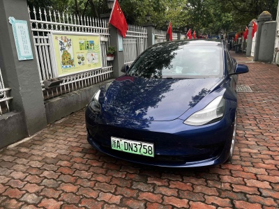 2021年1月 特斯拉 Model 3 標(biāo)準(zhǔn)續(xù)航后驅(qū)升級版圖片