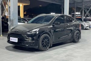 Model Y 特斯拉 標(biāo)準(zhǔn)續(xù)航后驅(qū)版