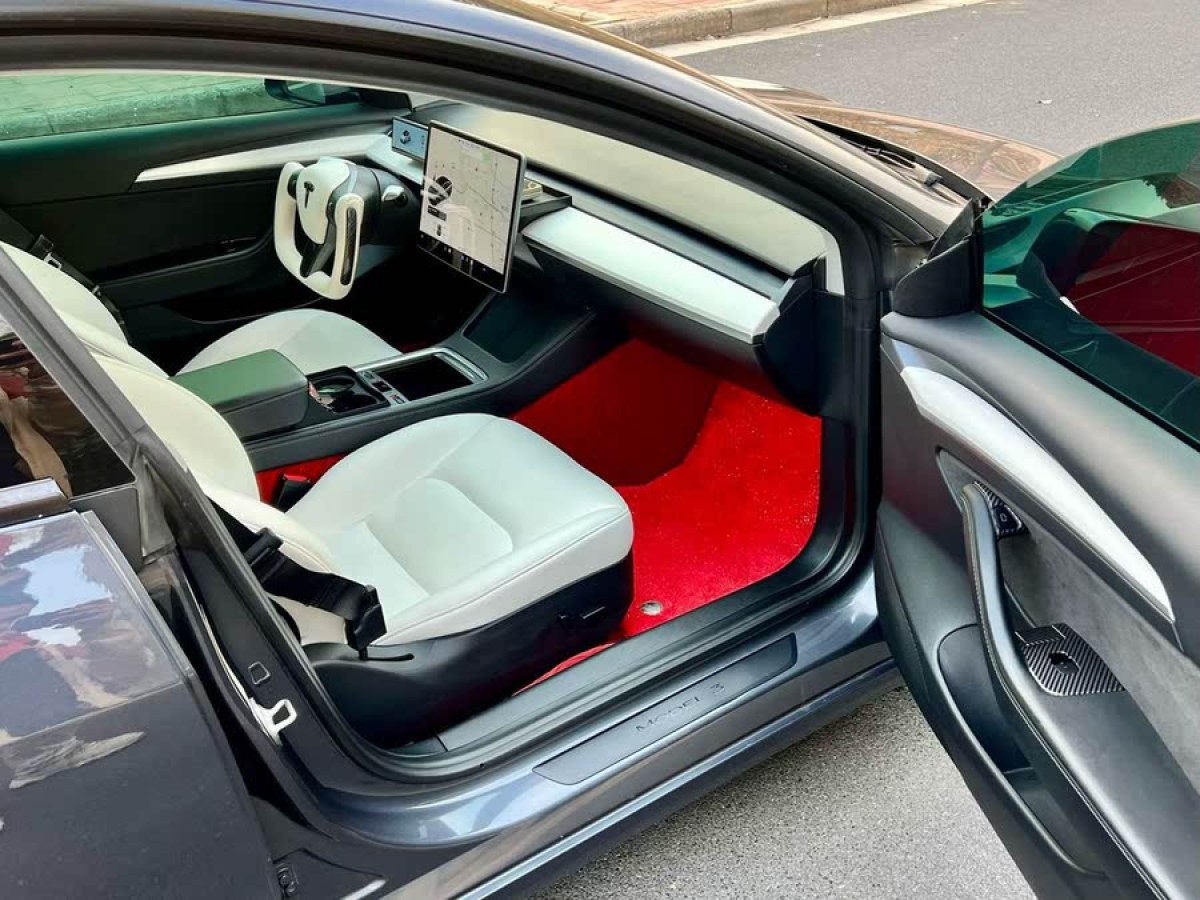 特斯拉 Model 3  2022款 Performance高性能全輪驅(qū)動(dòng)版圖片