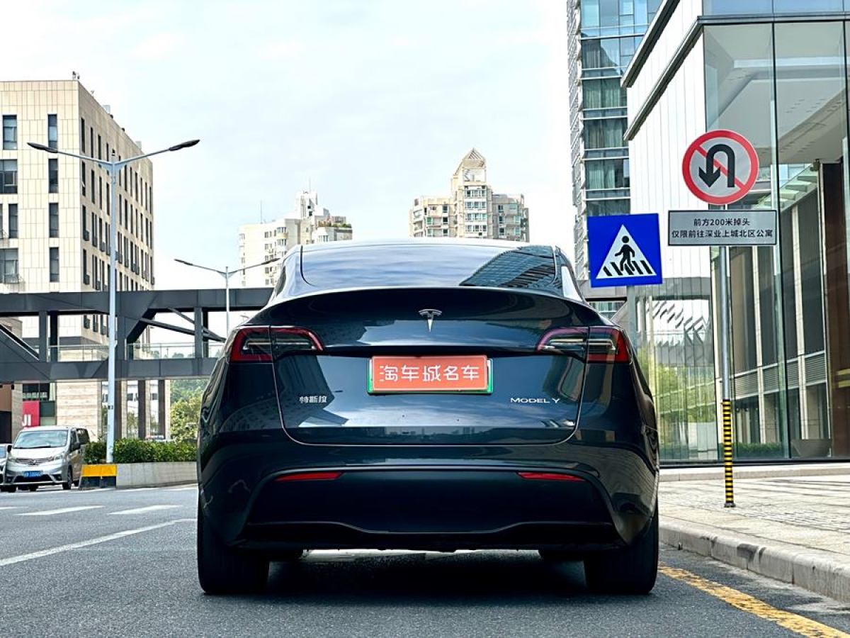 特斯拉 Model Y  2020款 改款 長續(xù)航后輪驅(qū)動(dòng)版圖片