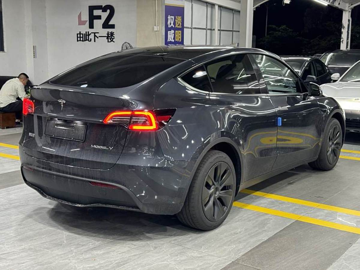 特斯拉 Model 3  2020款 改款 長續(xù)航后輪驅(qū)動版圖片