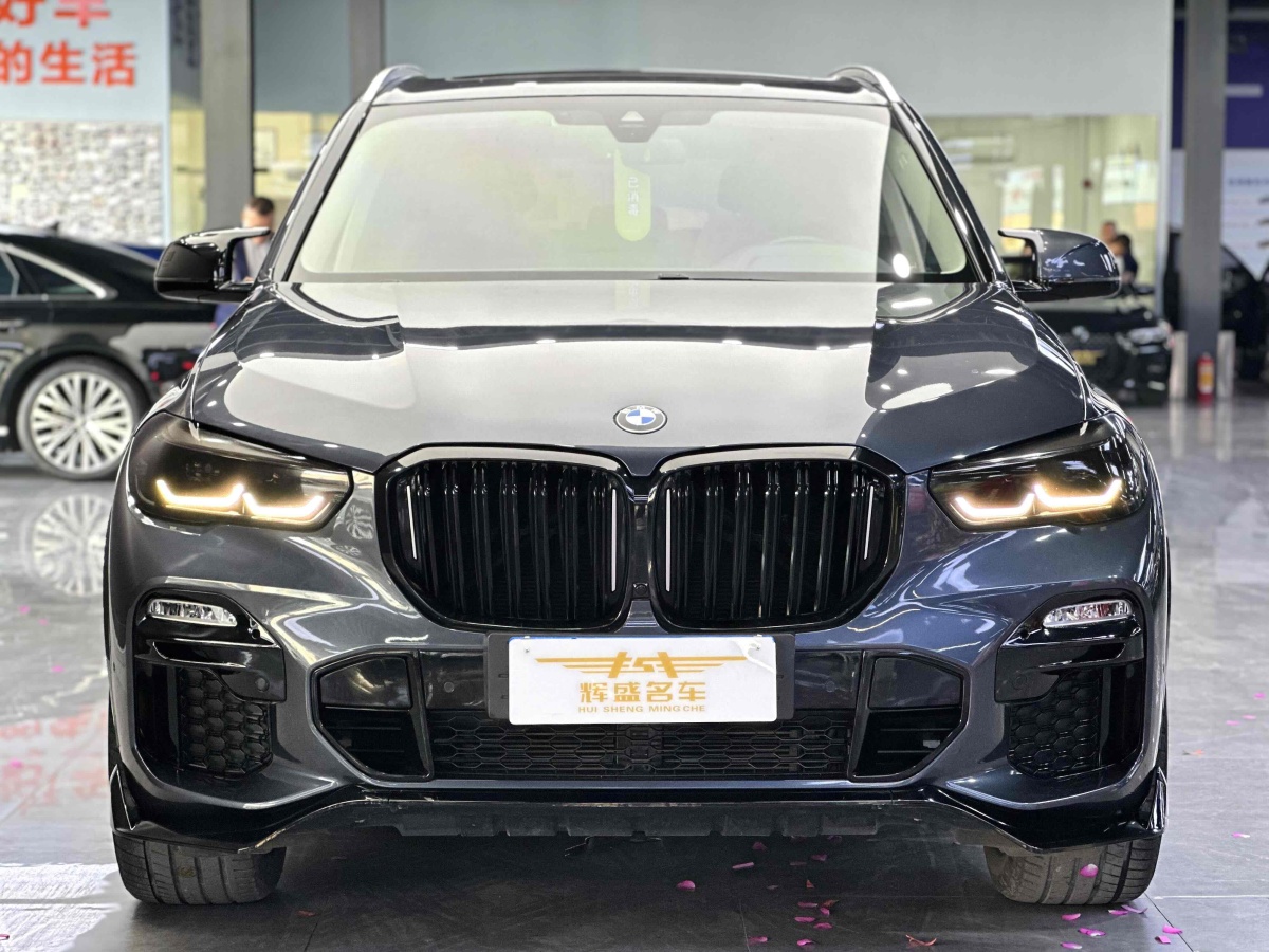 寶馬 寶馬X5  2019款 xDrive30i X設(shè)計套裝圖片