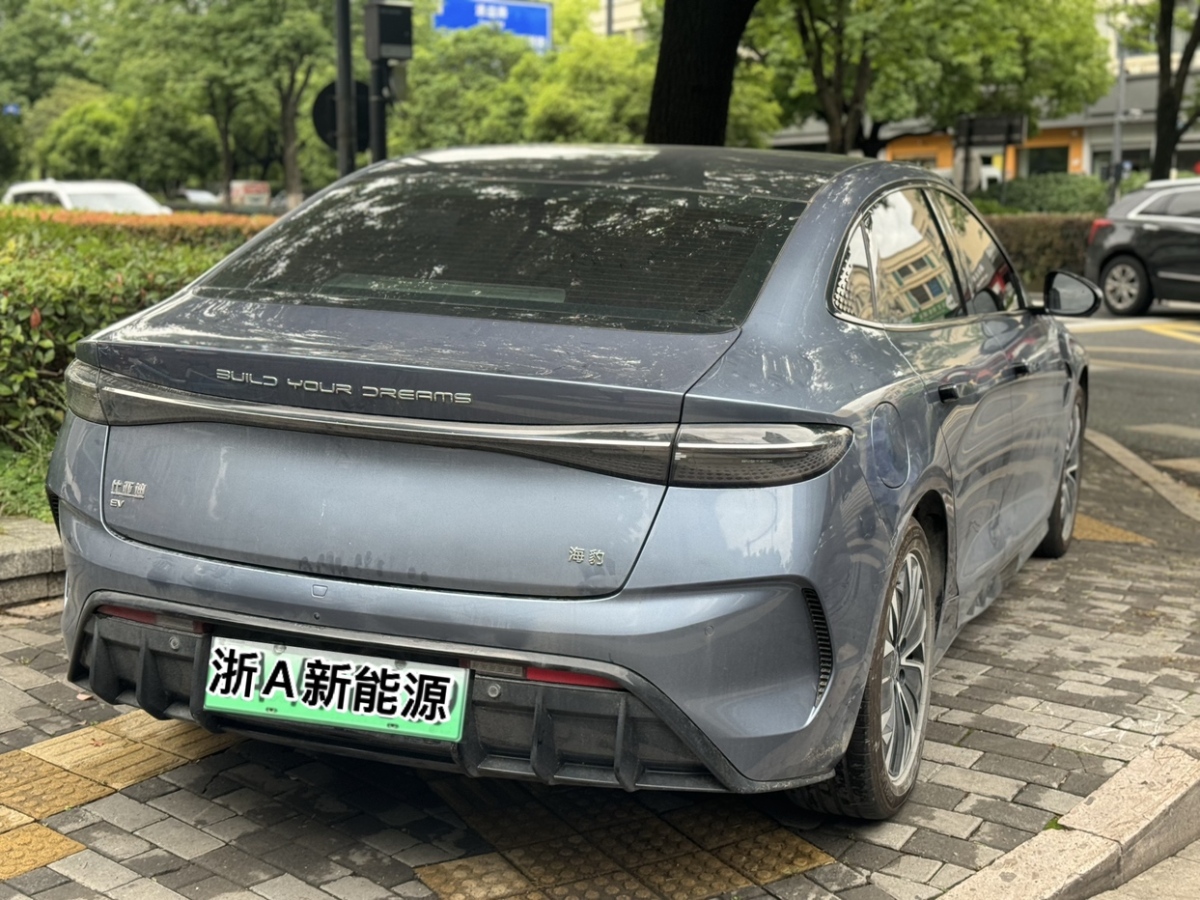比亞迪 海豹  2023款 冠軍版 550km 精英型圖片