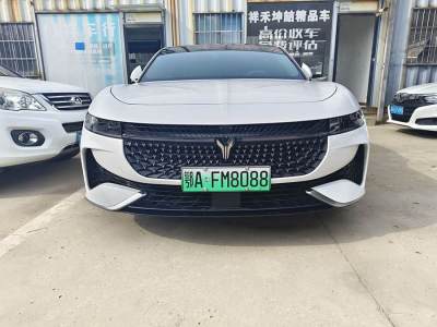 2023年11月 嵐圖 嵐圖追光 PHEV 四驅(qū)超長續(xù)航旗艦版圖片