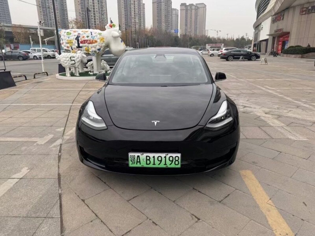 特斯拉 Model 3  2020款 改款 標(biāo)準(zhǔn)續(xù)航后驅(qū)升級(jí)版圖片