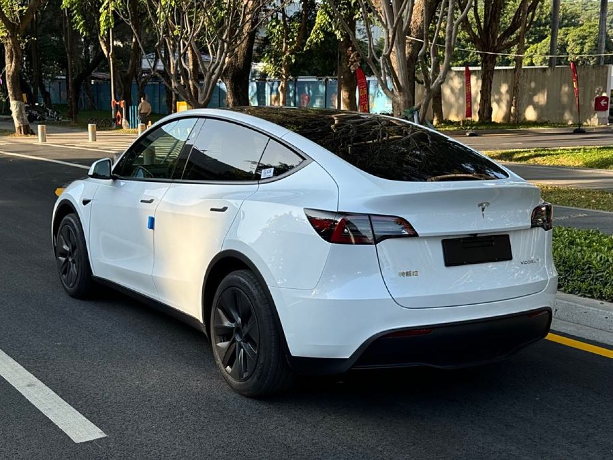 特斯拉 Model 3  2020款 改款 長續(xù)航后輪驅(qū)動版圖片