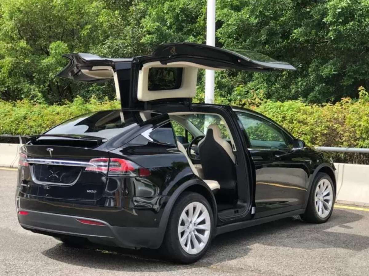 特斯拉 Model X  2017款 Model X 100D 长续航版图片