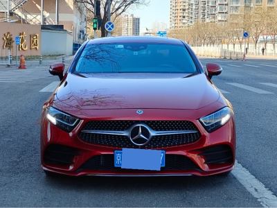 2019年3月 奔馳 奔馳CLS級(進(jìn)口) CLS 300 豪華型圖片