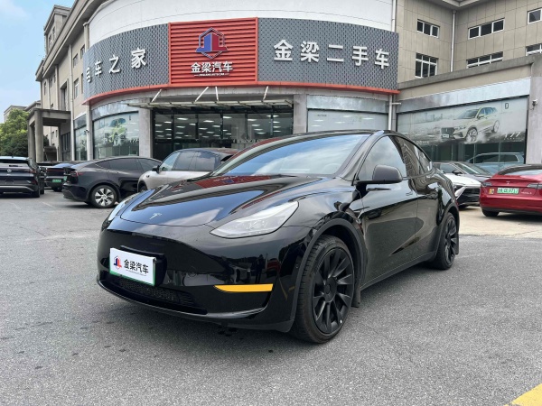 特斯拉 Model Y  2020款 改款 长续航后轮驱动版