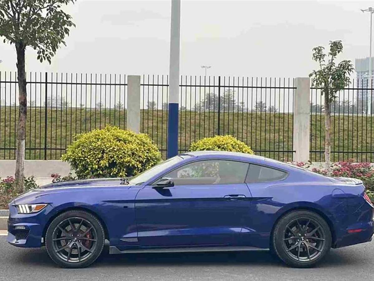 福特 Mustang  2015款 2.3T 性能版圖片