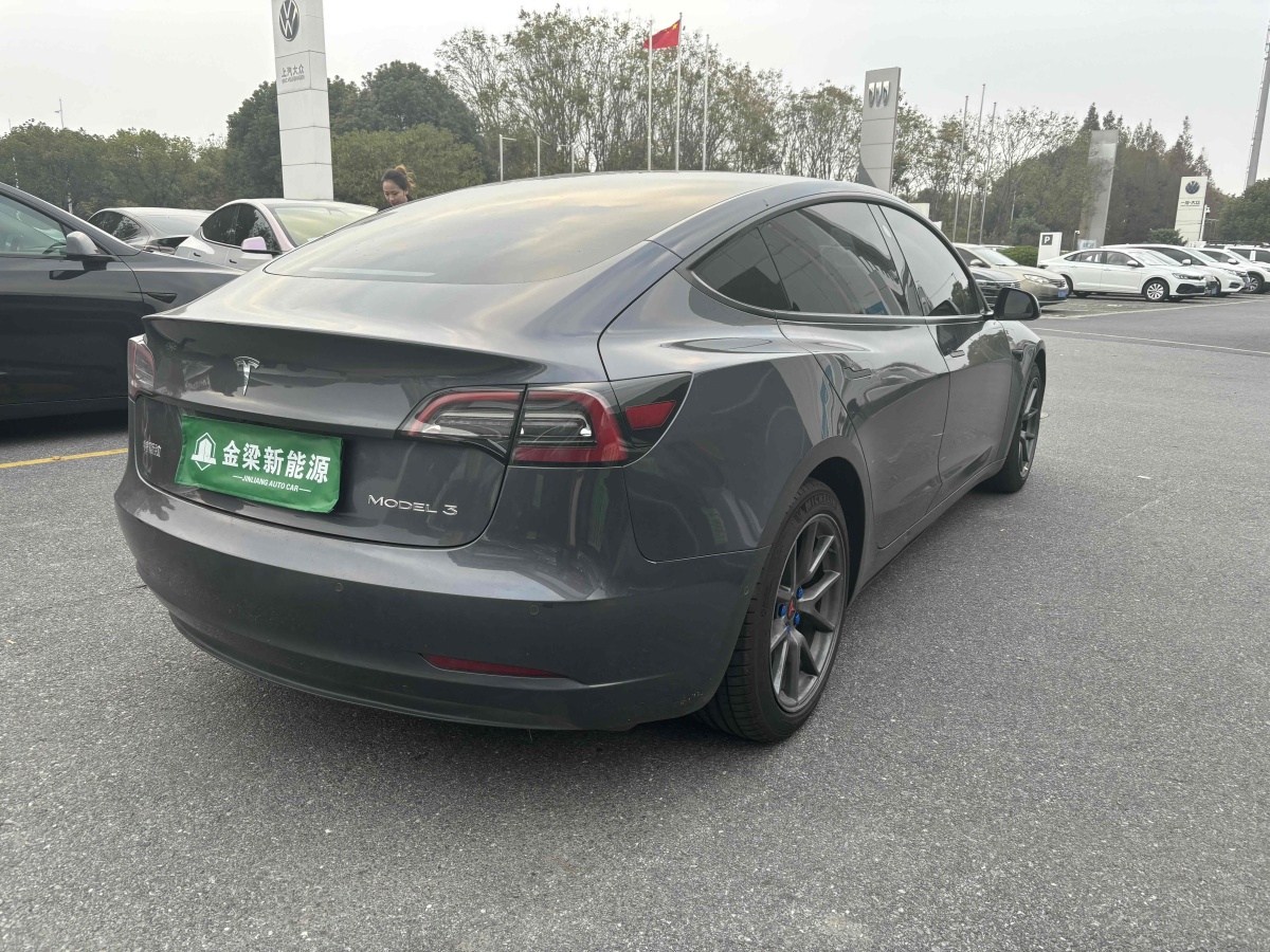 特斯拉 Model 3  2021款 標(biāo)準(zhǔn)續(xù)航后驅(qū)升級(jí)版 3D6圖片