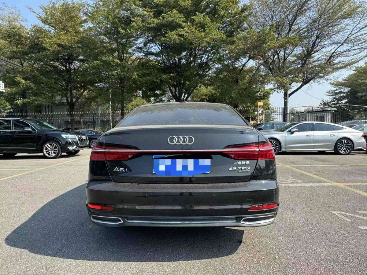 奧迪 奧迪A6L  2022款 45 TFSI quattro 臻選致雅型圖片