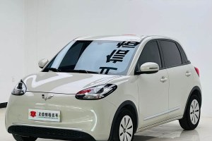 五菱繽果 五菱 203km 舒享款
