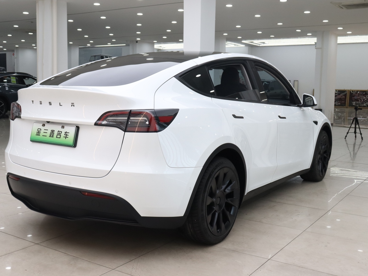 2021年6月特斯拉 Model 3  2021款 長續(xù)航全輪驅動版 3D7