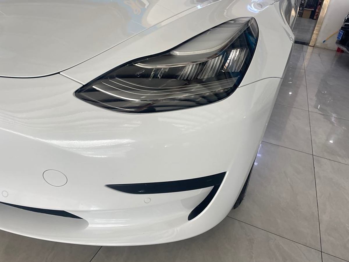 特斯拉 Model 3  2019款 標(biāo)準(zhǔn)續(xù)航后驅(qū)升級(jí)版圖片