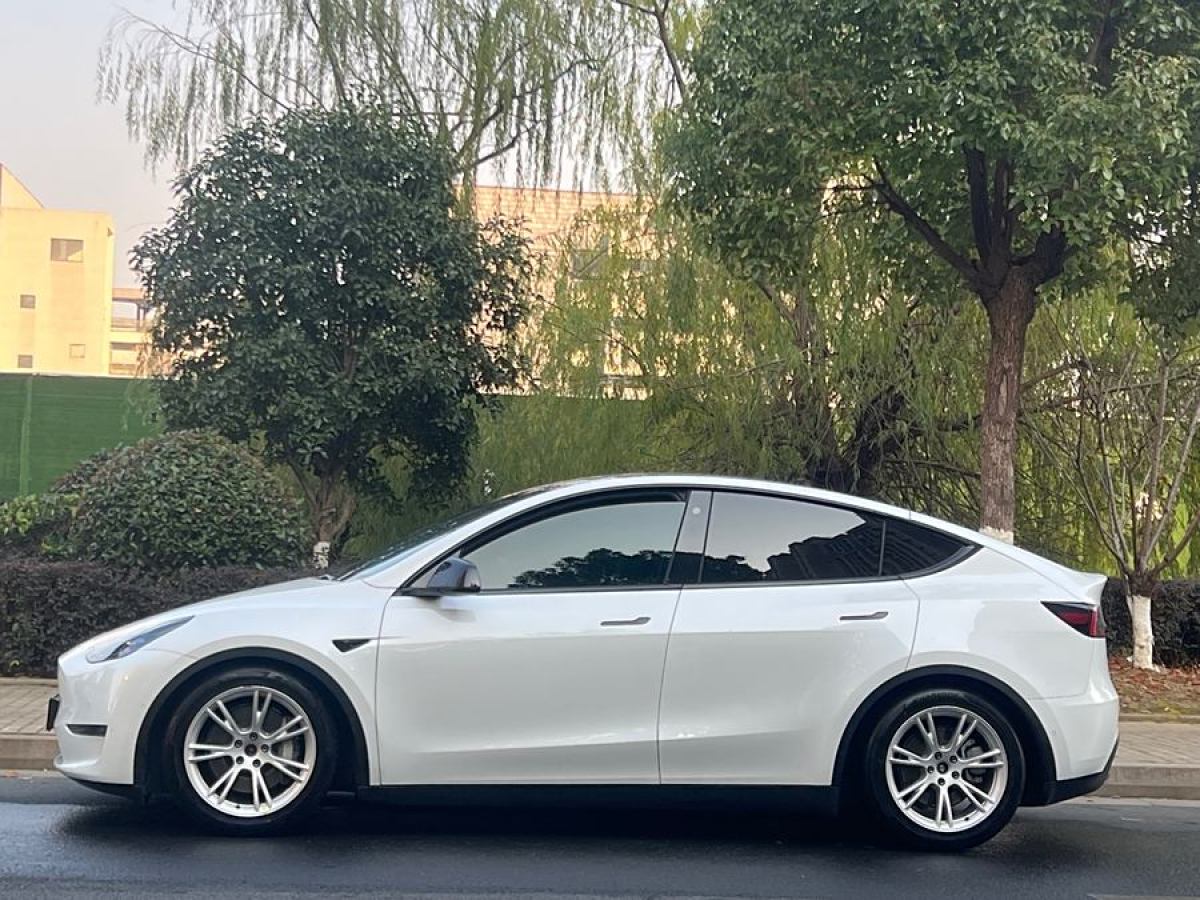 特斯拉 Model 3  2021款 改款 標準續(xù)航后驅升級版圖片